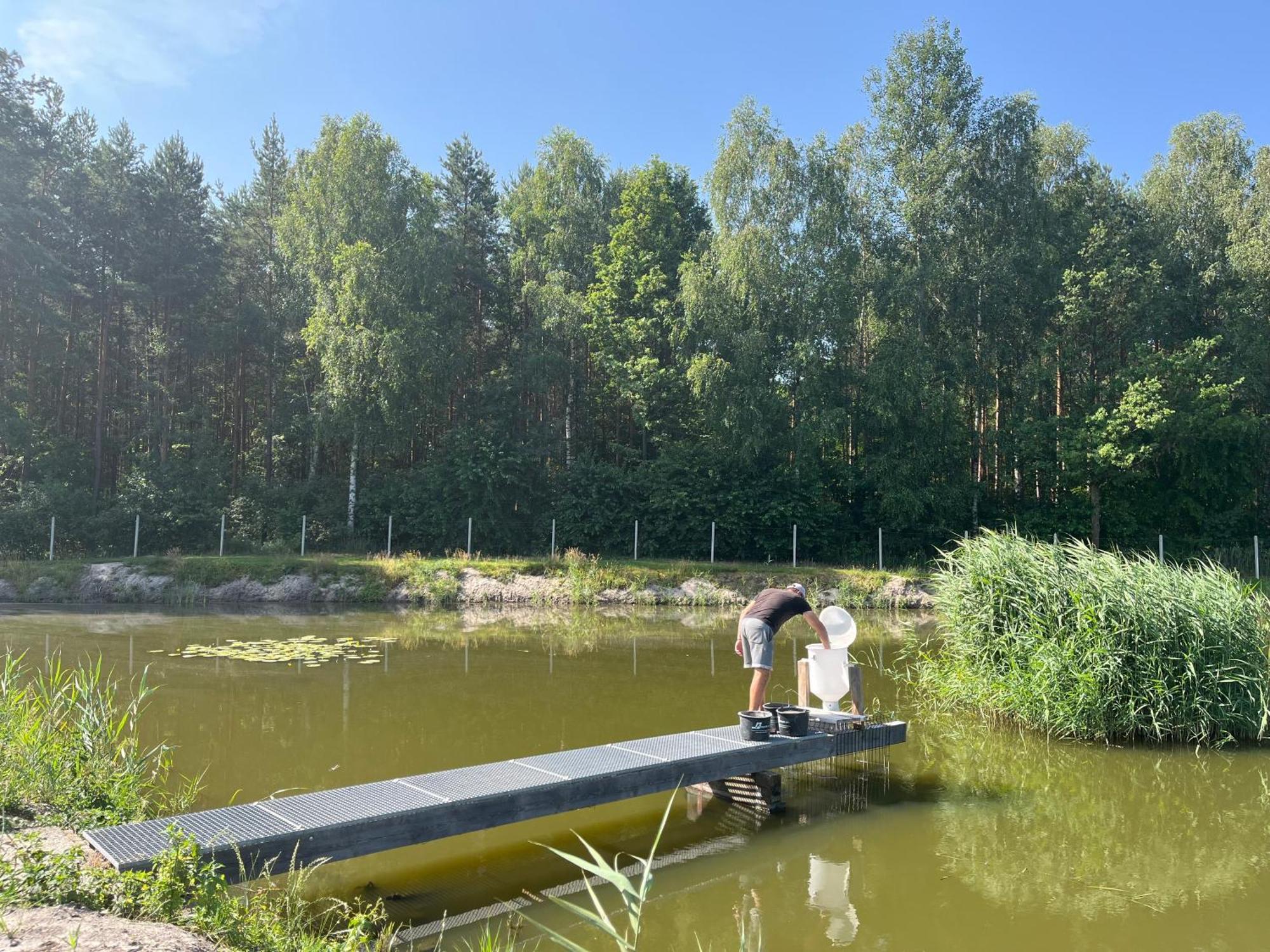 Tawerna Pod Kotwica I Wakacyjne Kadlub Wolny