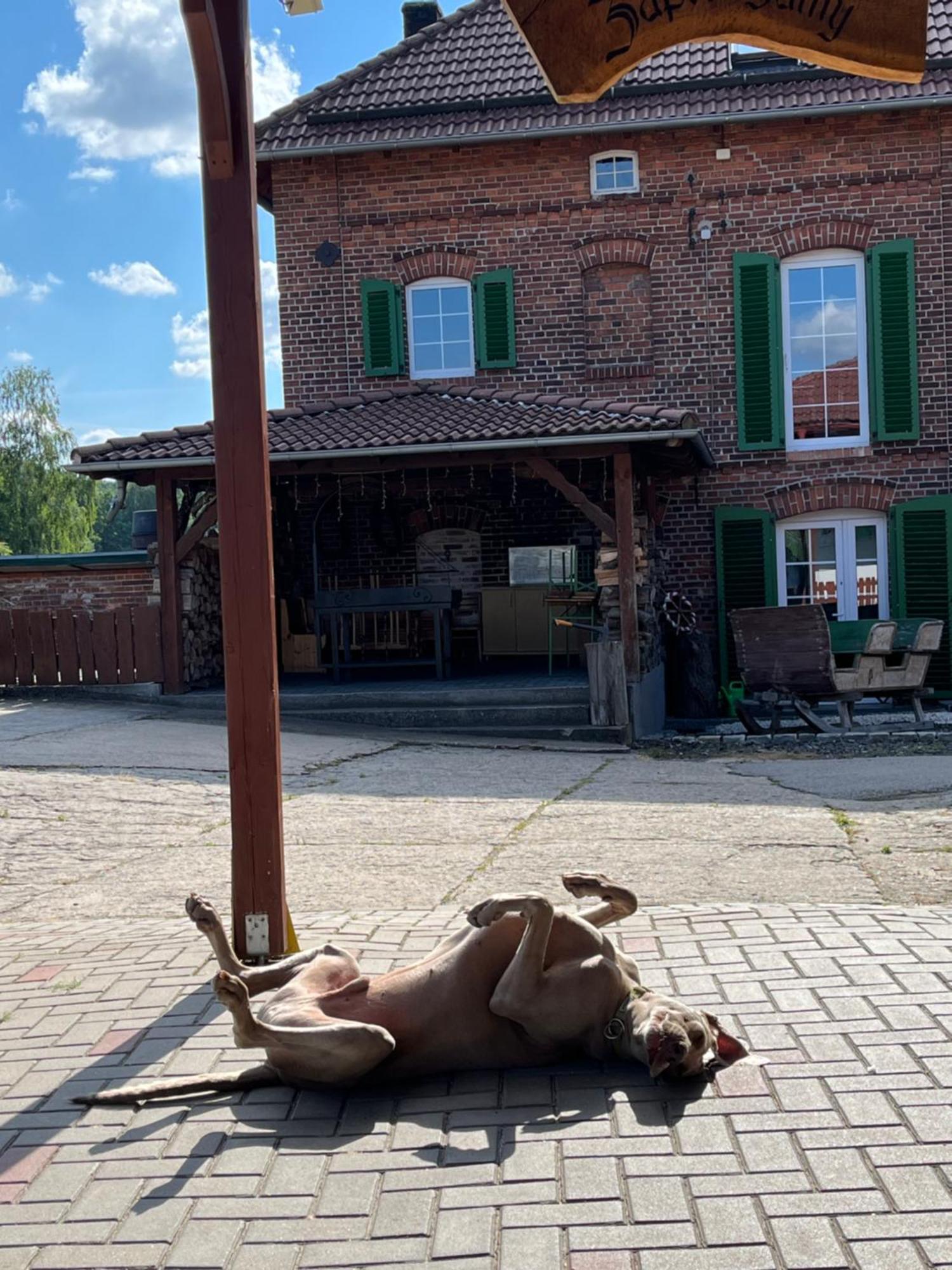 Tawerna Pod Kotwica I Wakacyjne