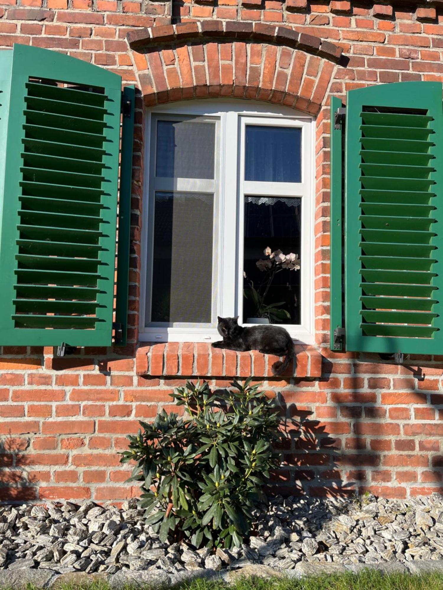 Tawerna Pod Kotwica I Wakacyjne Holiday home Kadlub Wolny
