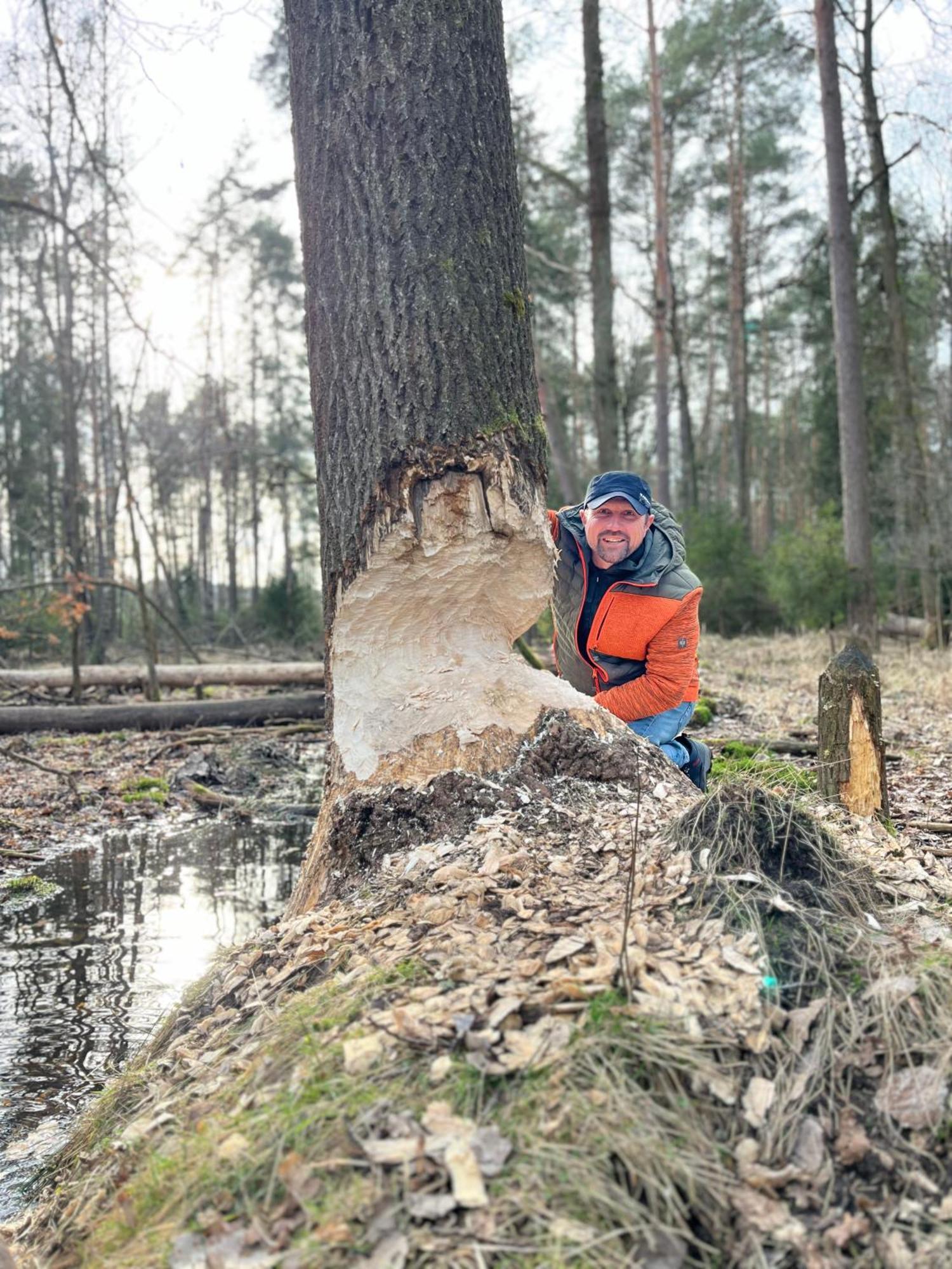 Tawerna Pod Kotwica I Wakacyjne