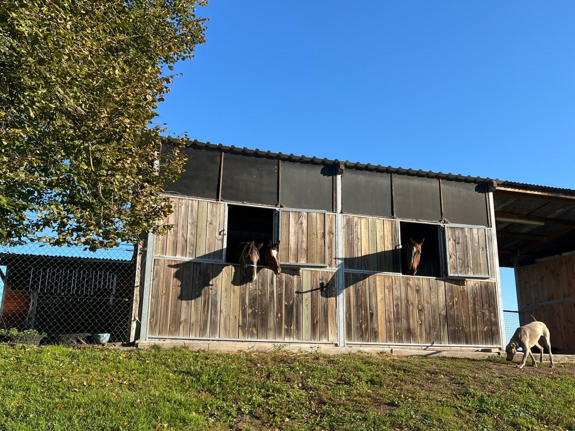 Tawerna Pod Kotwica I Wakacyjne Holiday home